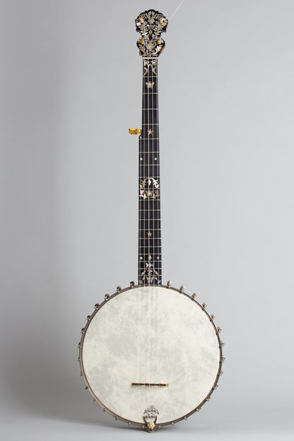 S. S. Stewart Extra Fine Presentation 5 String Banjo (1890)