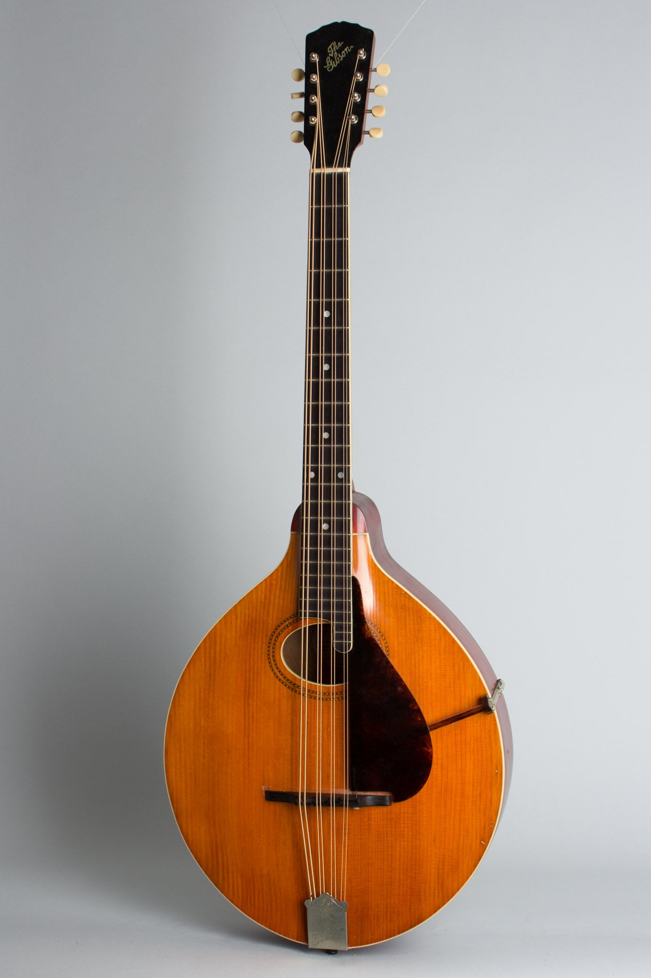 Gibson K-1 Carved Top Mandocello (1912)
