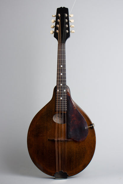 Gibson A-Junior Snakehead Carved Top Mandolin (1925)