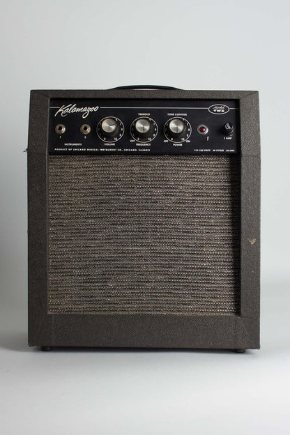 Kalamazoo Model Two Tube Amplifier (1966)