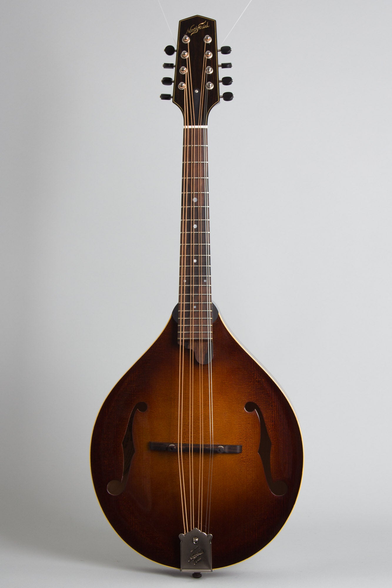 Northfield NFM-M5 Carved Top Mandola (2025)