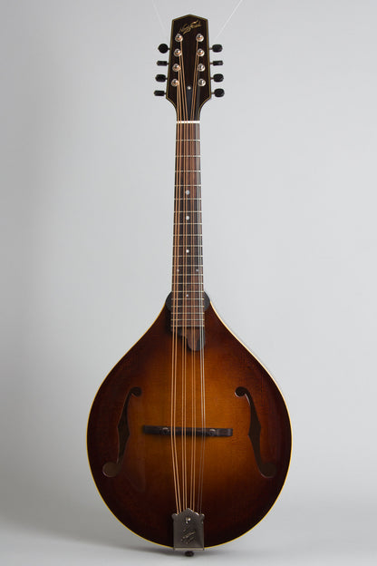 Northfield NFM-M5 Carved Top Mandola (2025)