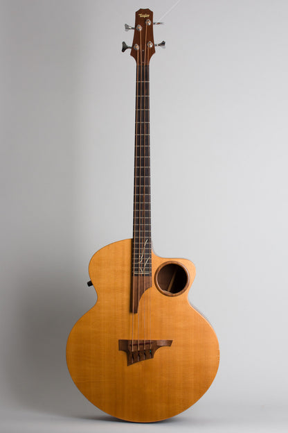 Taylor Klein AB-1 Acoustic-Electric Bass Guitar (1996)