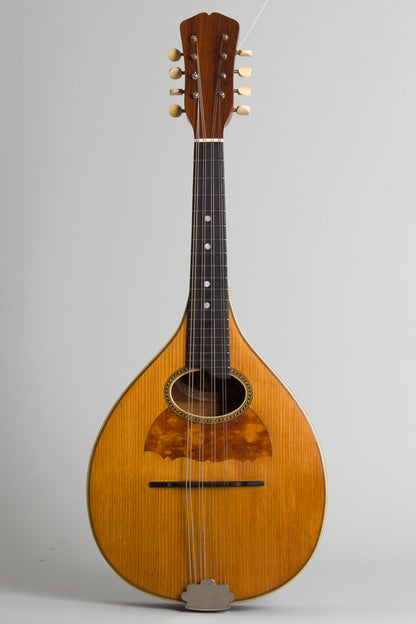 Vega Style 201 Flat Back, Bent Top Mandolin (1916)
