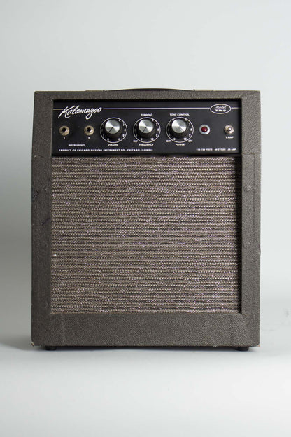Kalamazoo Model Two Tube Amplifier (1966)