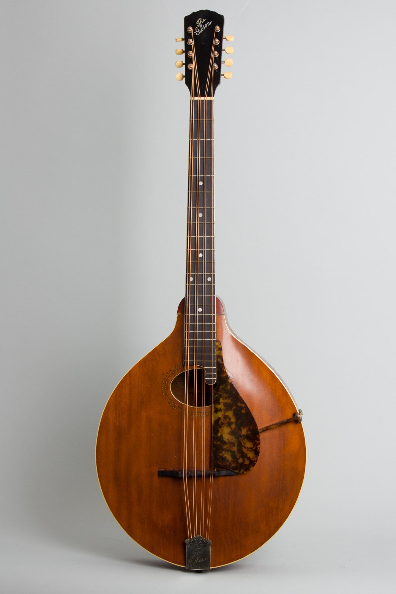 Gibson K-1 Carved Top Mandocello (1916)