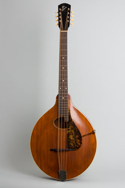 Gibson K-1 Carved Top Mandocello (1916)