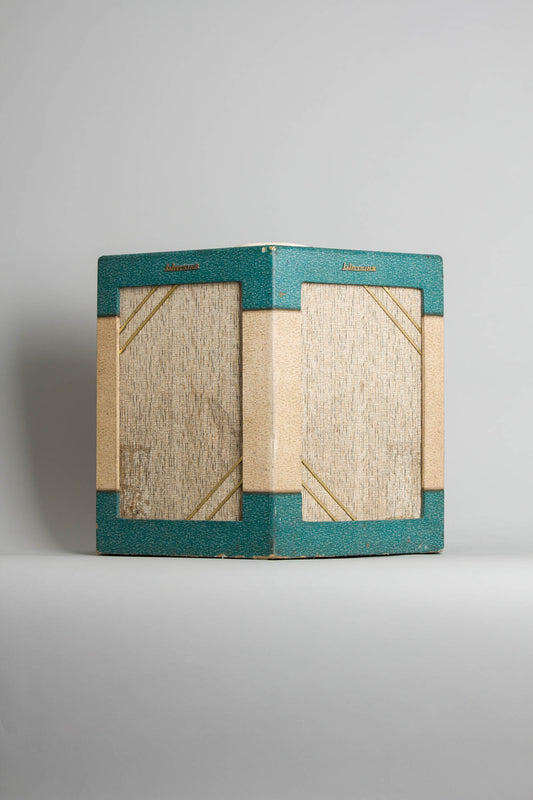 Watkins Dominator Tube Amplifier (1963)