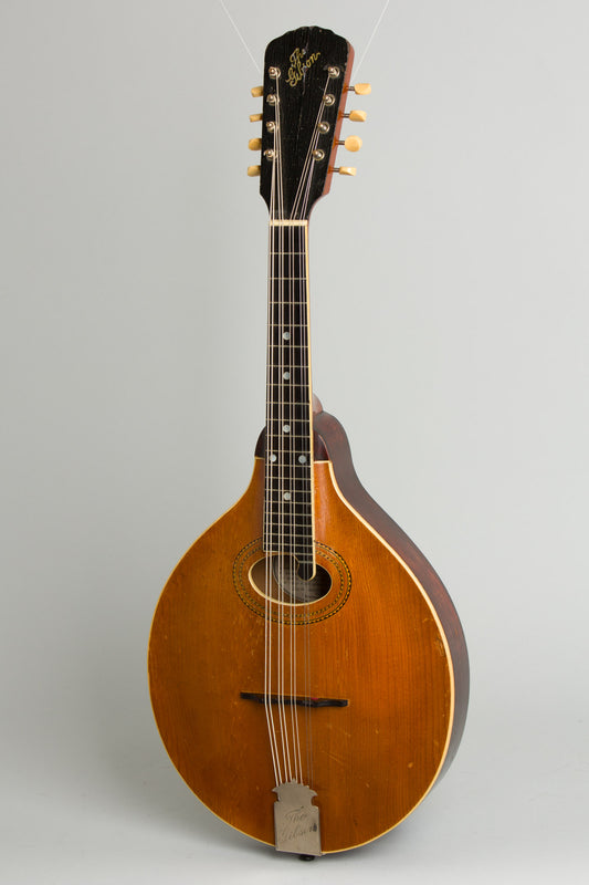 Gibson Style H-1 Carved Top Mandola (1910)