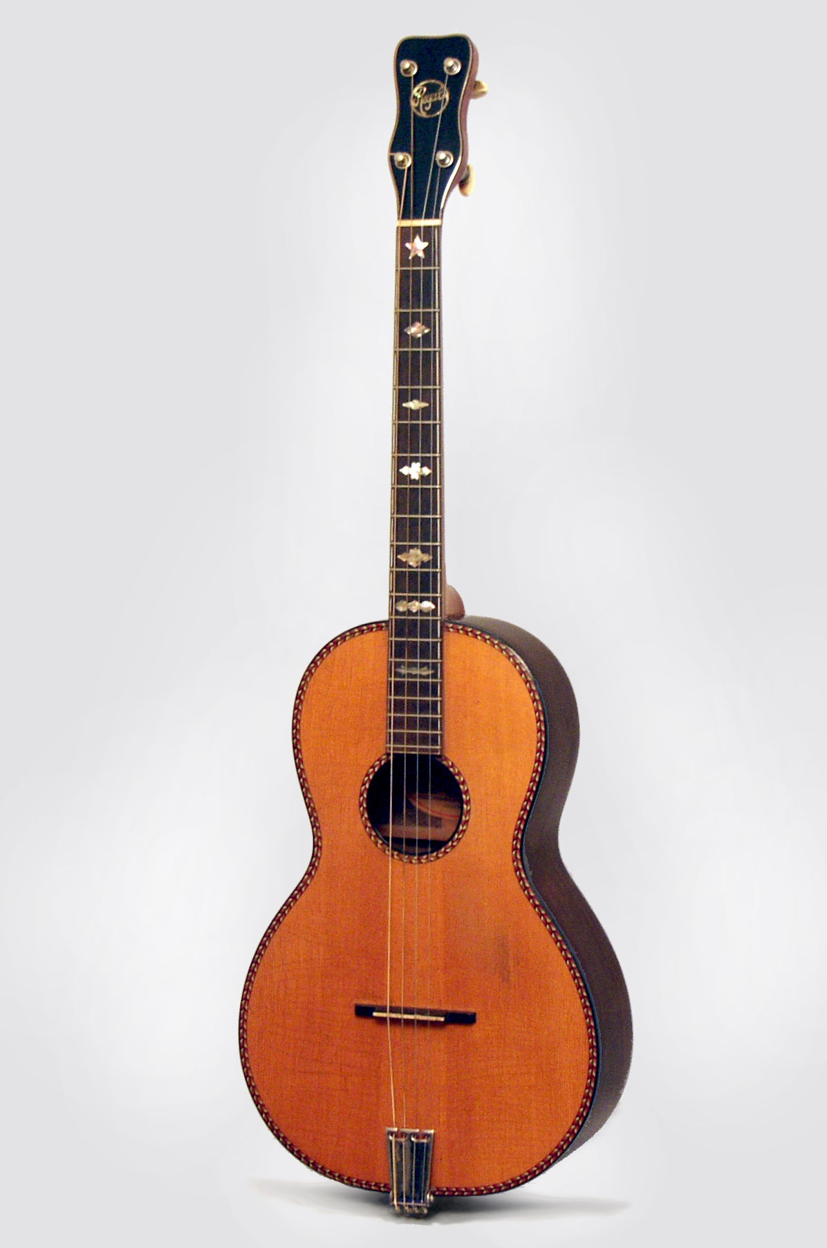 Regal Professional Flat Top Tenor Guitar (1928)