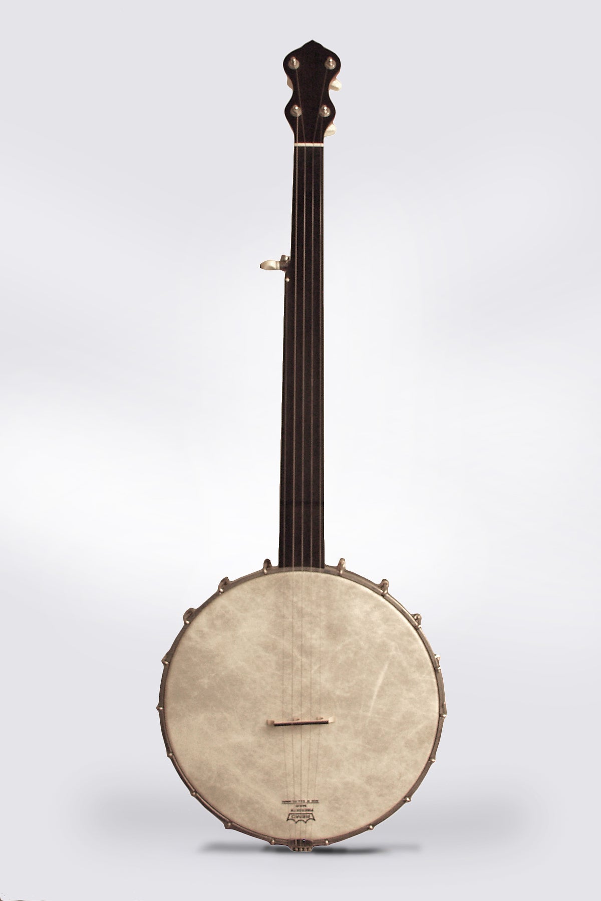 Mike Ramsey Custom 5 String Fretless Banjo