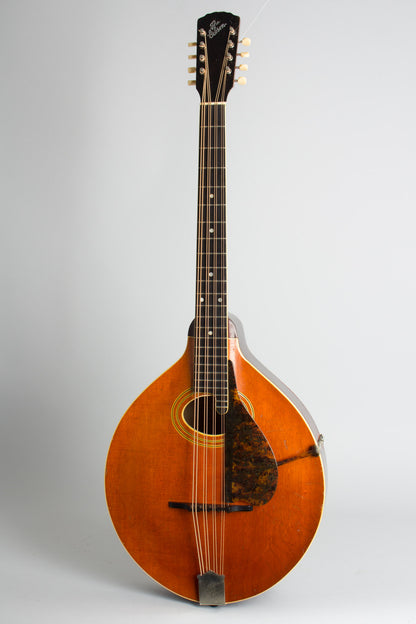 Gibson K-1 Carved Top Mandocello (1917)