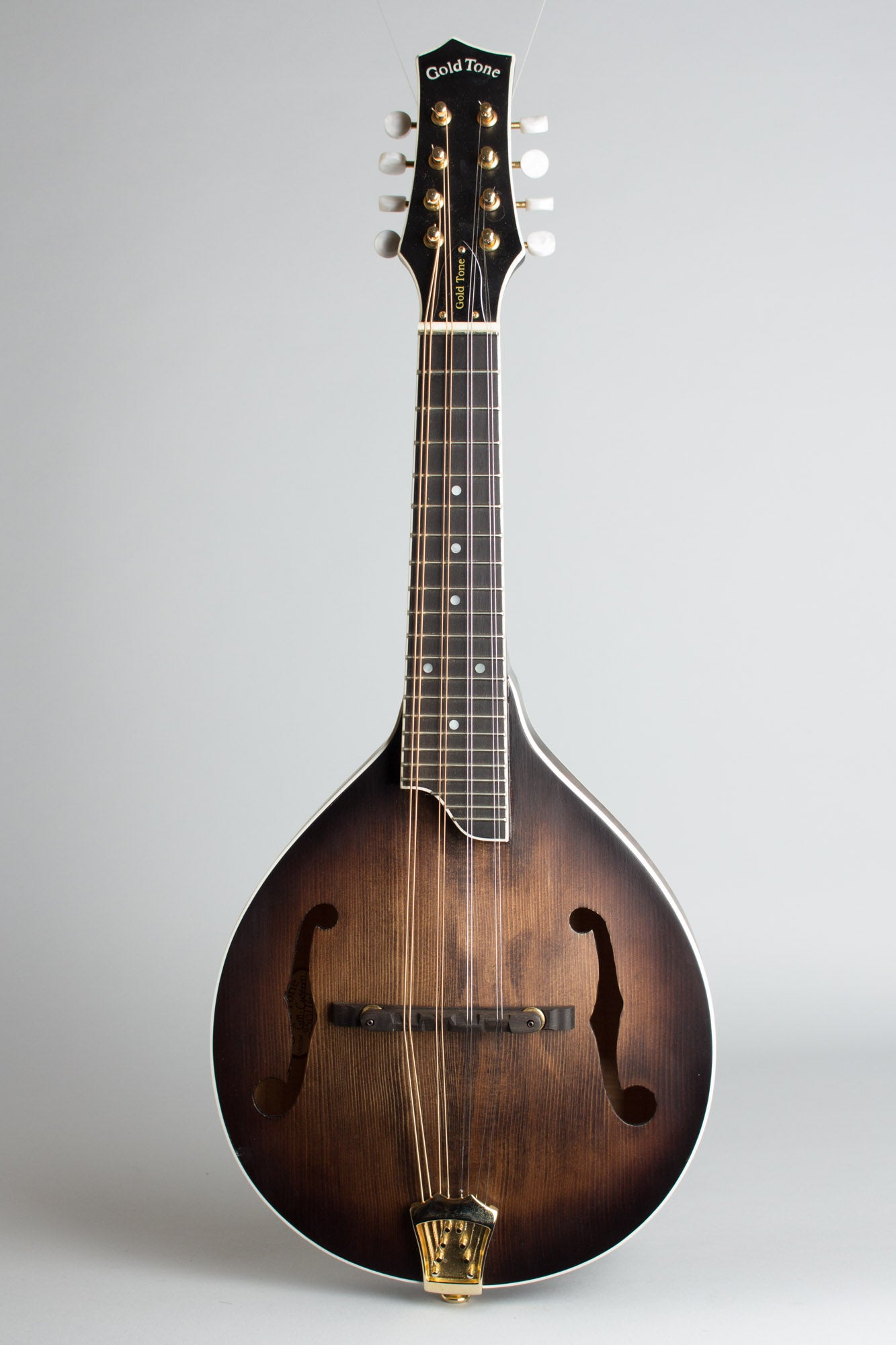 Gold Tone GM-Custom Arch Top Mandolin (2014)
