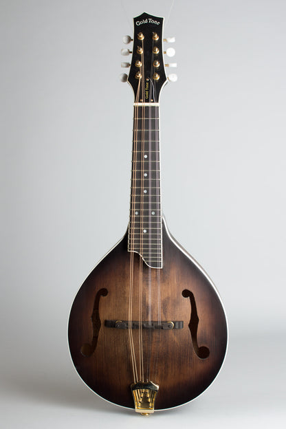 Gold Tone GM-Custom Arch Top Mandolin (2014)