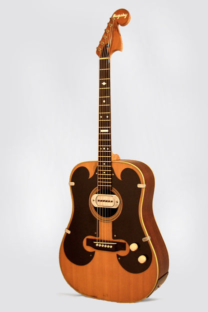 Bigsby/Martin Acoustic-Electric Guitar