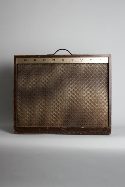 Magnatone Custom 262 Tube Amplifier (1962)