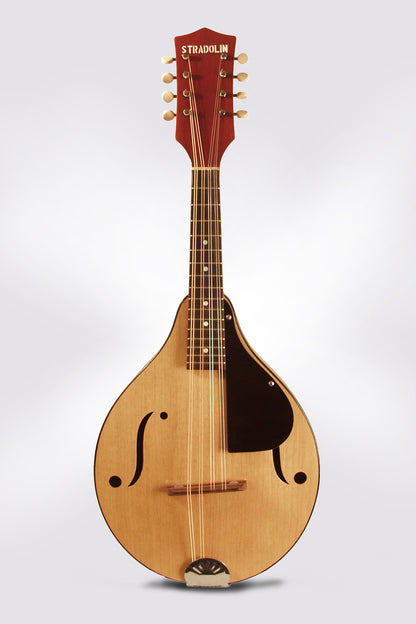 Stradolin Arch Top Mandolin (1950's)