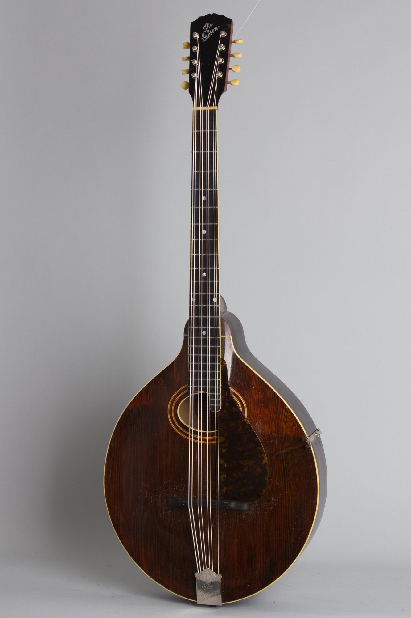 Gibson K-1 Carved Top Mandocello (1919)