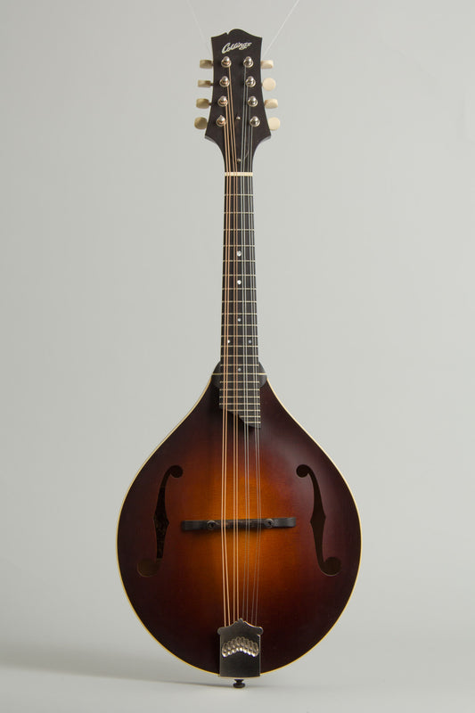 Collings MT Carved Top Mandolin (2013)
