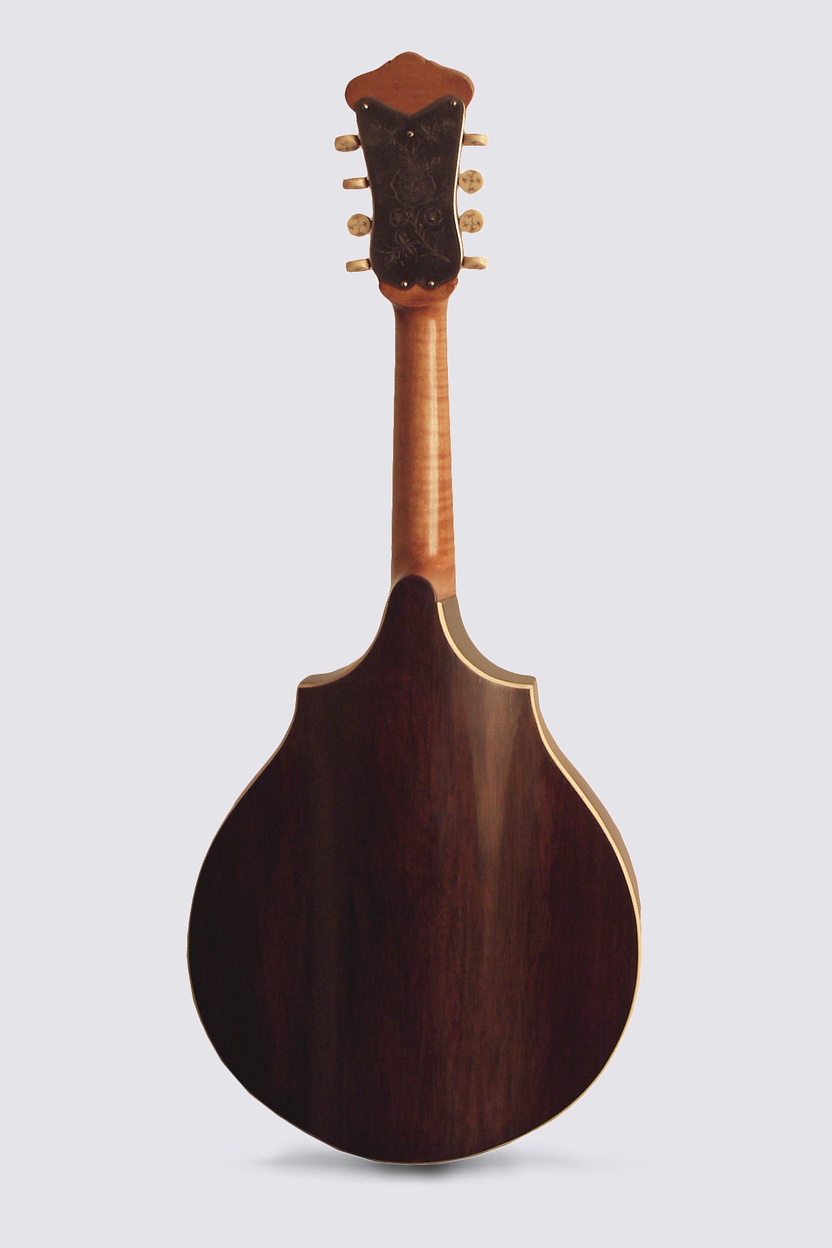 Vega Cylinder Back Style 305 Arch Top Mandolin (1916)