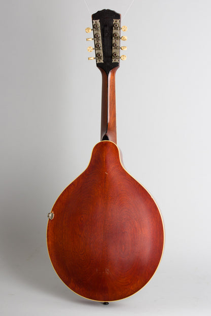 Gibson H-2 Carved Top Mandola (1912)
