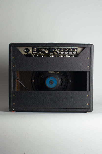 Fender Princeton Reverb Tube Amplifier (1966)