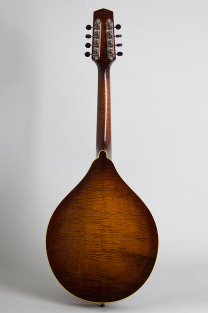 Northfield NFM-M5 Carved Top Mandola (2025)