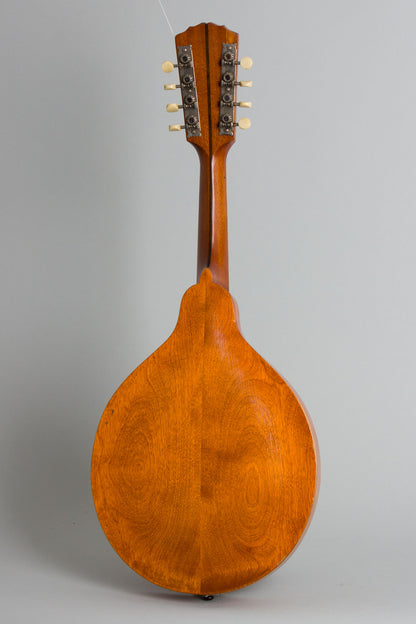 Gibson Style A-1 Carved Top Mandolin (1916)