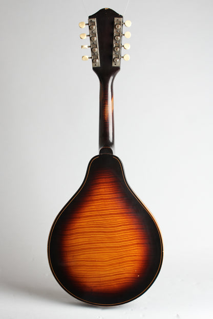 Stradolin Arch Top Mandolin (1938)