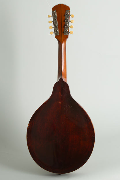 Gibson Style H-1 Carved Top Mandola (1910)