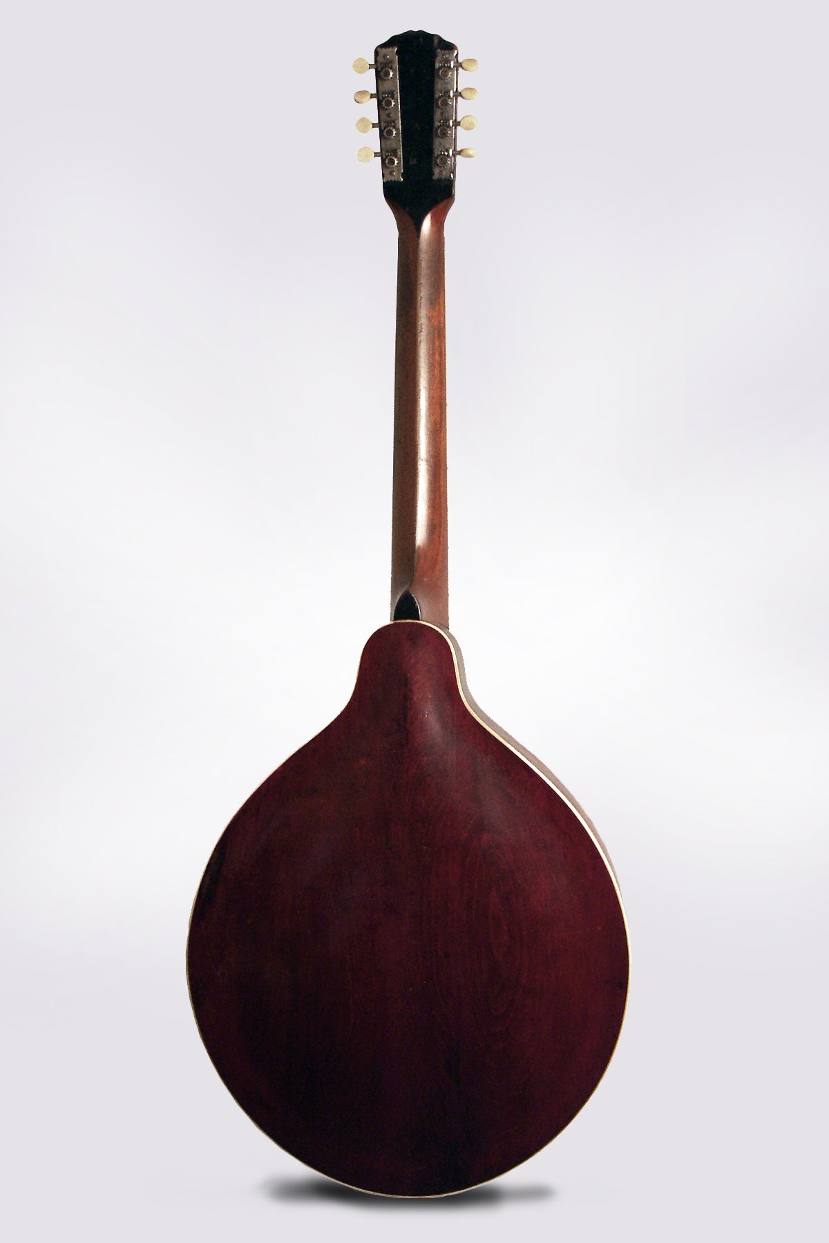 Gibson K-2 Carved Top Mandocello (1913)