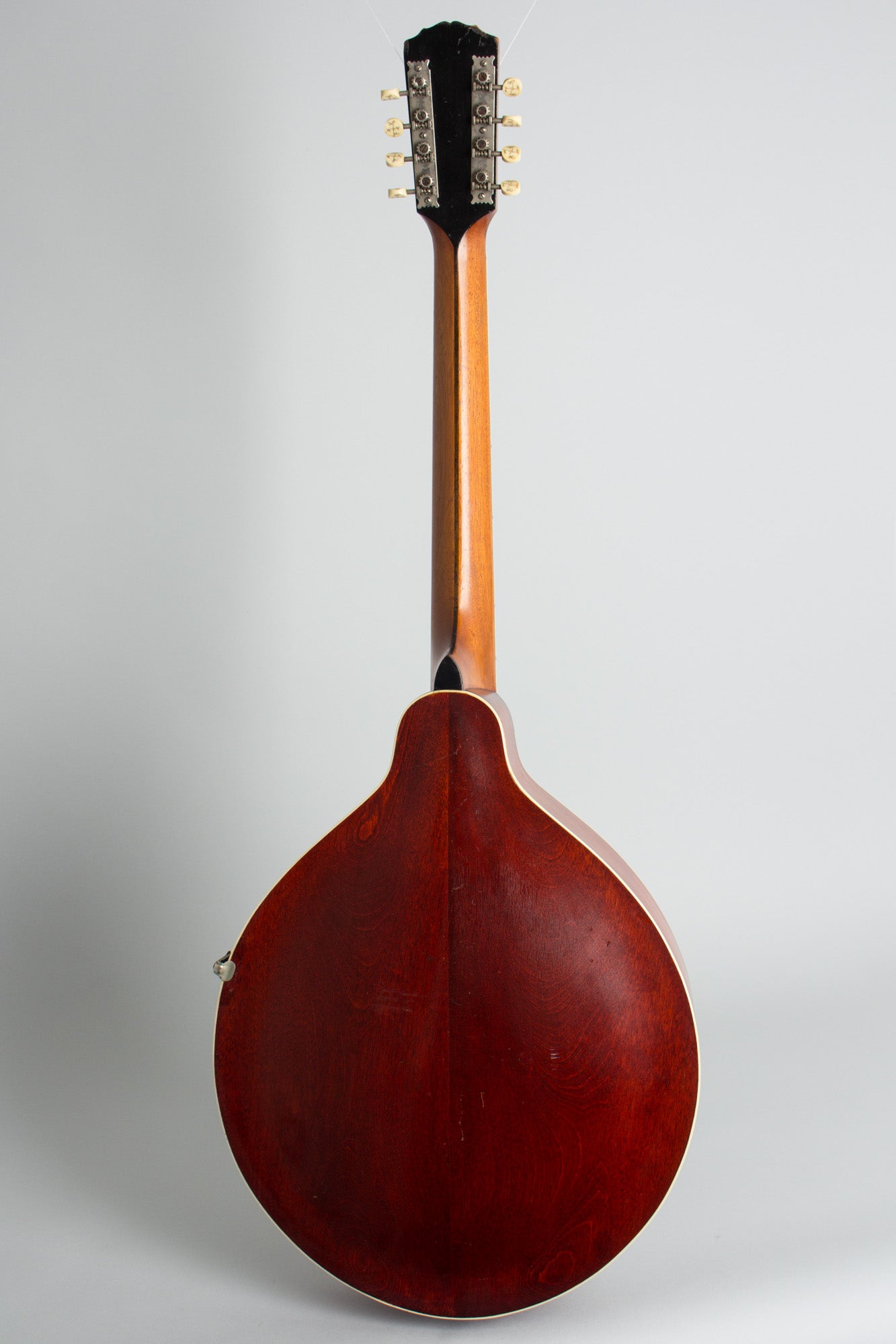 Gibson K-2 Carved Top Mandocello (1914)