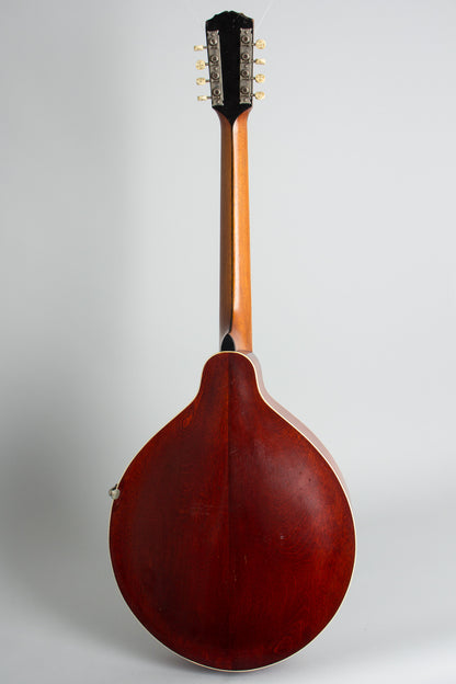 Gibson K-2 Carved Top Mandocello (1914)