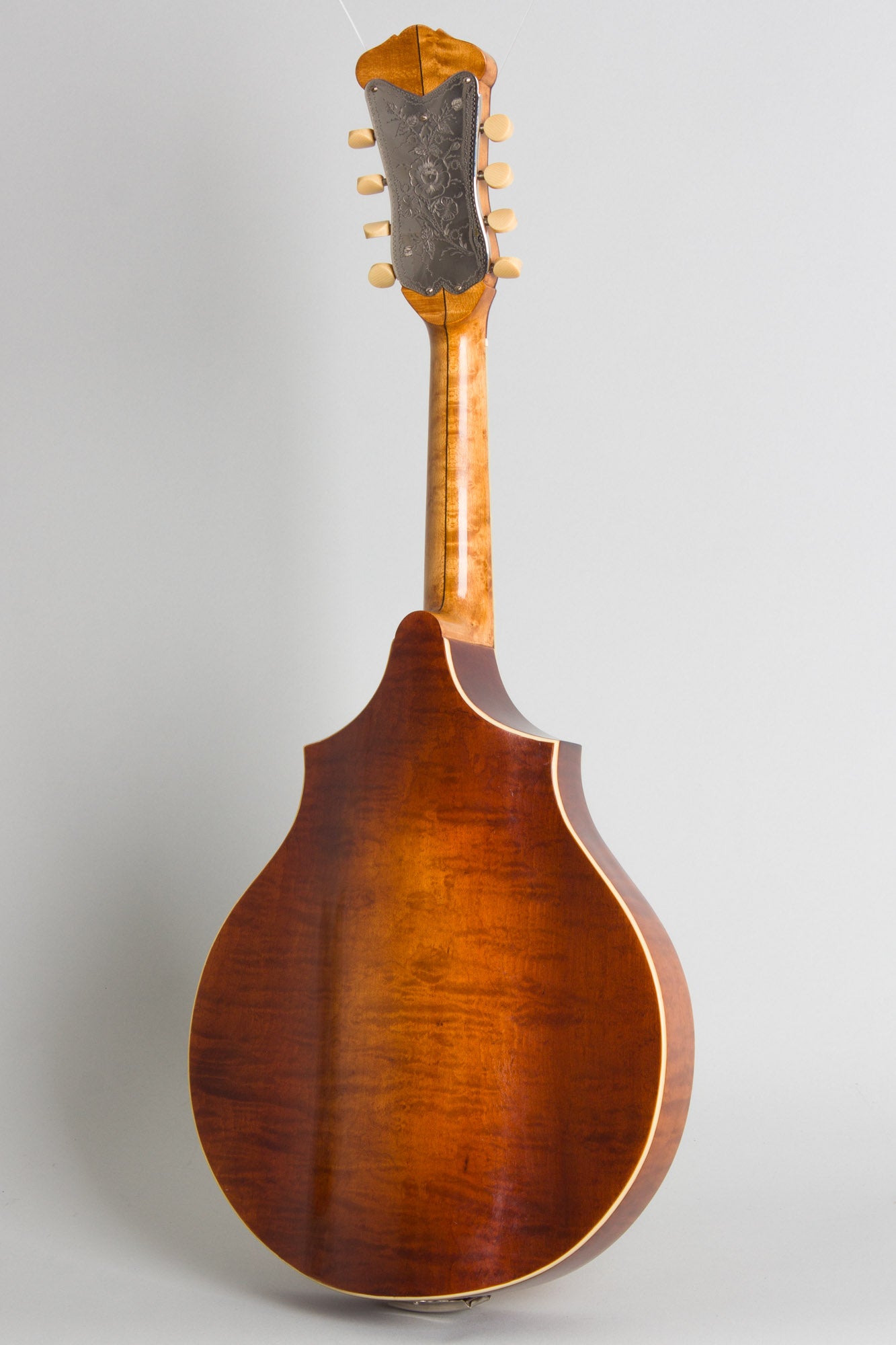Vega Cylinder Back Model 205 Mandolin (1917)