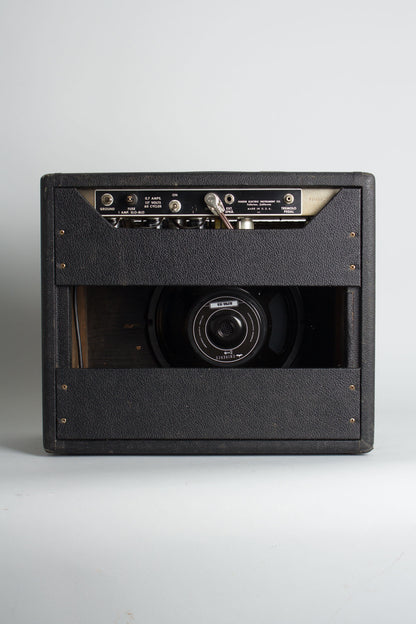 Fender Princeton Tube Amplifier (1964)