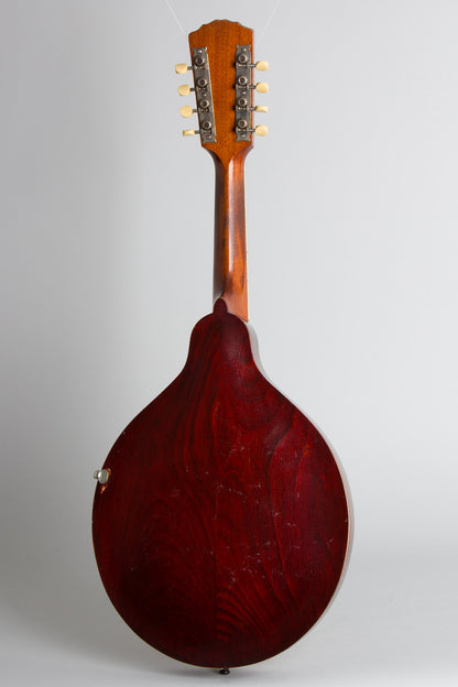 Gibson Style H-1 Carved Top Mandola (1915)