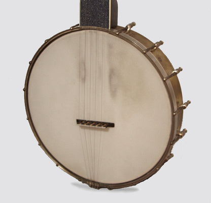 Alden Composite 5 String Fretless Banjo (1980's)