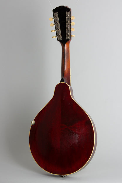 Gibson Model A-3 Carved Top Mandolin (1919)