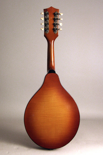 Stradolin Arch Top Mandolin (early 1950's)