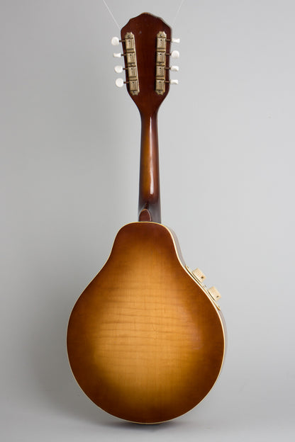 Kay K-95 Hollow Body Electric Mandolin (1958)