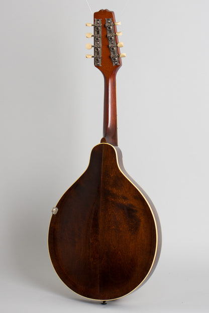 Gibson A-2Z Snakehead Carved Top Mandolin (1923)