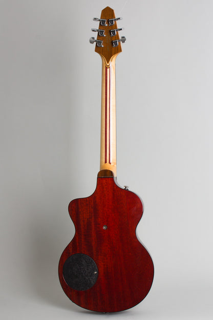 Rick Turner Model 1 LB Reissue Owned by Jeff Tweedy of Wilco Semi-Hollow Body Electric Guitar (2001)