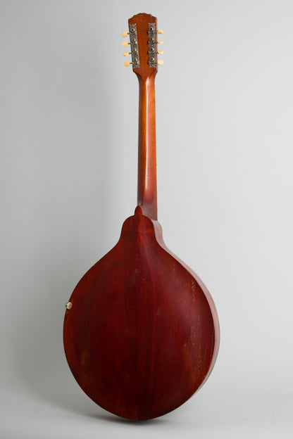 Gibson K-1 Carved Top Mandocello (1916)