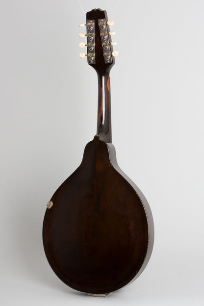 Gibson A-Junior Snakehead Carved Top Mandolin (1925)