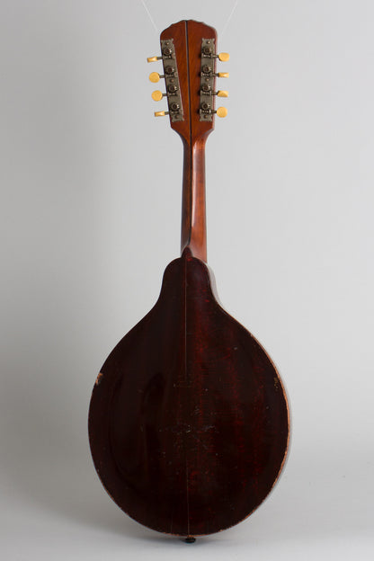 Gibson Style A-1 Carved Top Mandolin (1910)