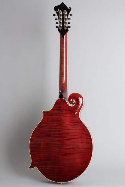 Weber Carved Top Mandocello (2016)