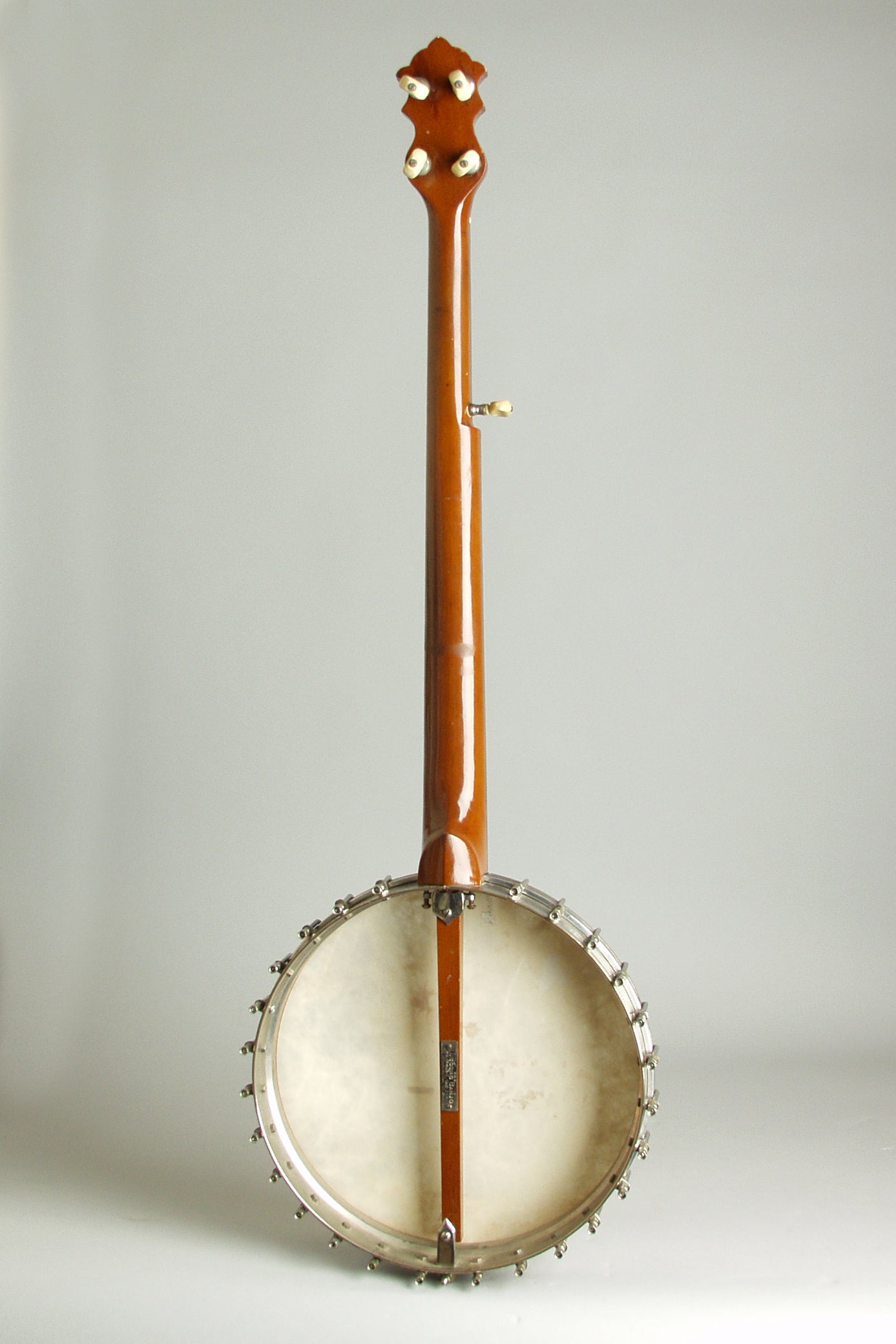 Luscomb composite with Jim DeCava Neck 5 String Banjo (1895)