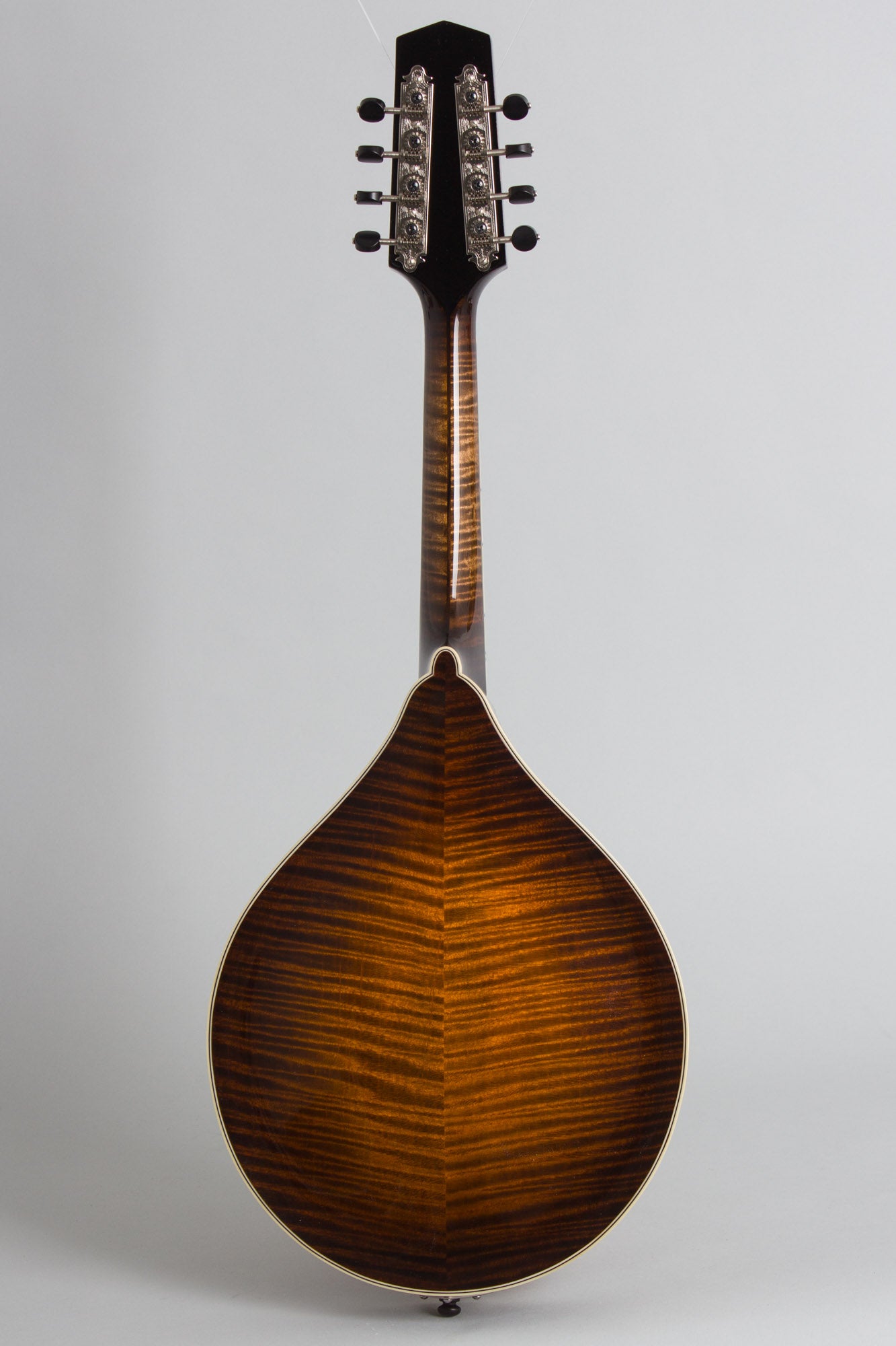 Northfield NFMSP-A5 Carved Top Mandolin (2025)
