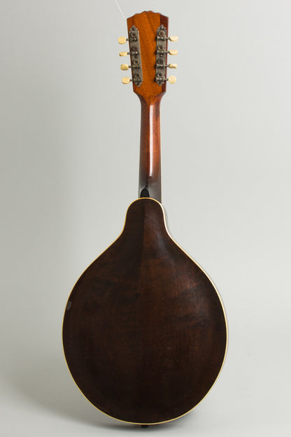 Gibson Style H-1 Carved Top Mandola (1923)