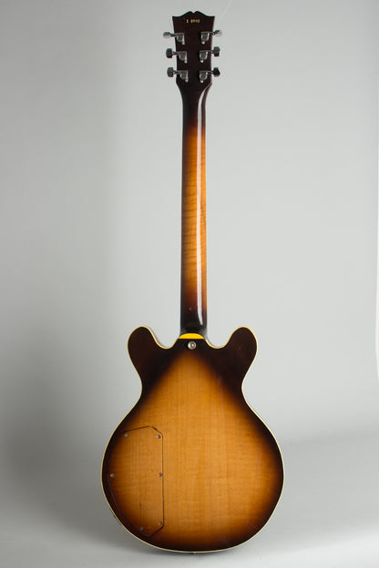 Steve Carr Mini-335 Owned and used by Elliott Sharp Semi-Hollow Body Electric Guitar (1981)
